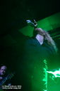 25_Dark_Tranquillity-6.jpg