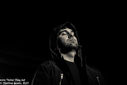 25_black_sequoia_by_martina_sestic.jpg