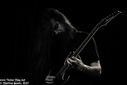 29_black_sequoia_by_martina_sestic.jpg