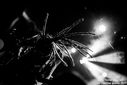 4_infected_rain_by_martina_sestic.jpg