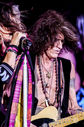 Aerosmith_Alterbridge_25062014-7066.jpg