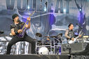 IMG_3769.jpg