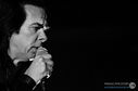 NickCave_25112013_fotoAnastazijaVrzina-3012.jpg