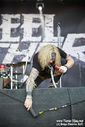 Steel_Panther_11.jpg